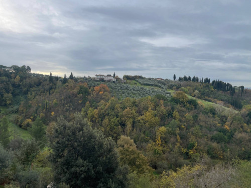 Appartamento in vendita a San Miniato