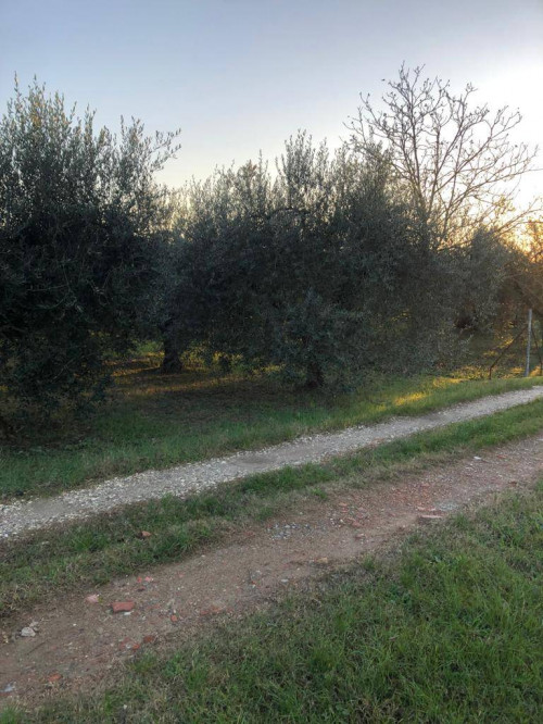 Terreno Agricolo in vendita a Empoli