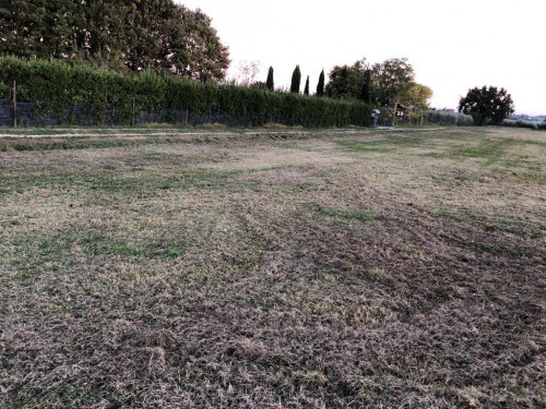 Terreno Agricolo in vendita a Empoli