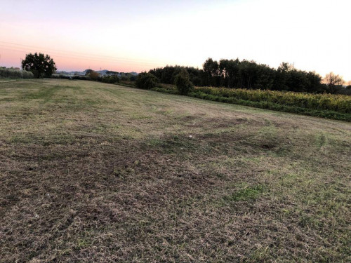 Terreno Agricolo in vendita a Empoli