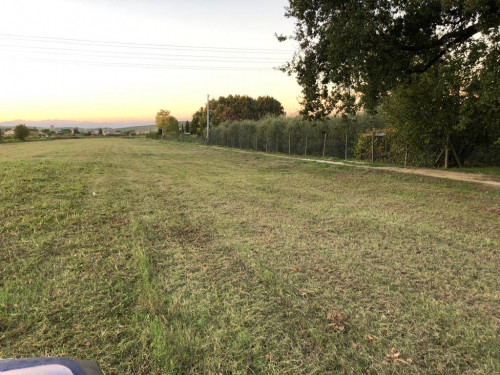 Terreno Agricolo in vendita a Empoli