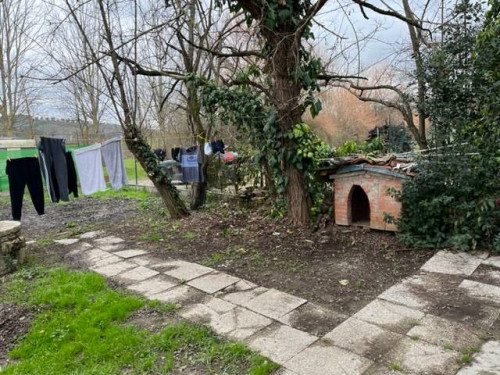 Appartamento in affitto a Capraia e Limite