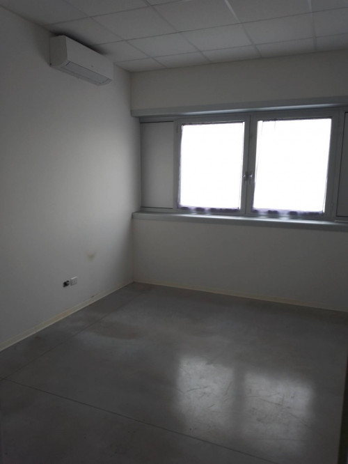 Capannone in affitto a Santa Croce sull'Arno