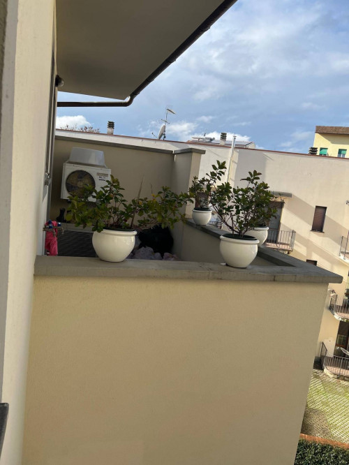 Appartamento in affitto a Empoli