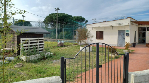 Terreno in affitto a Fucecchio