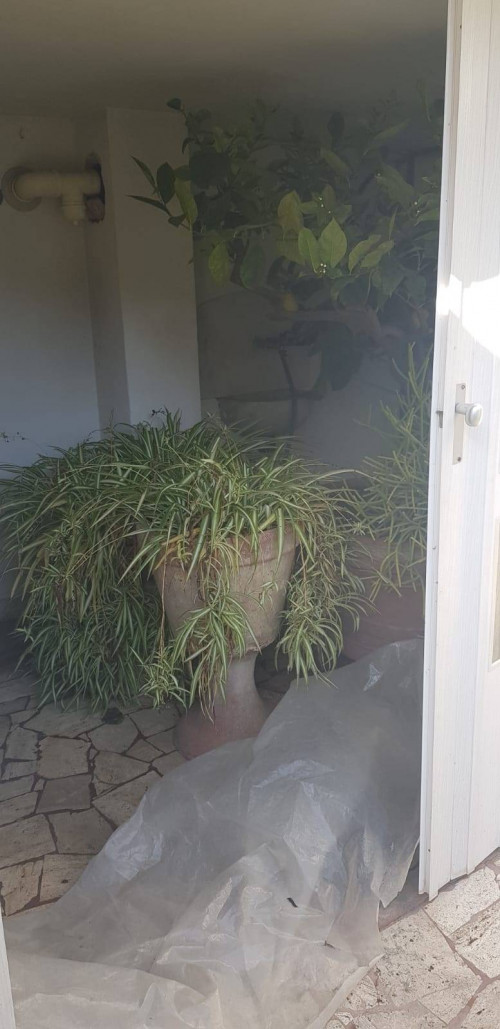 Casa indipendente in affitto a Empoli