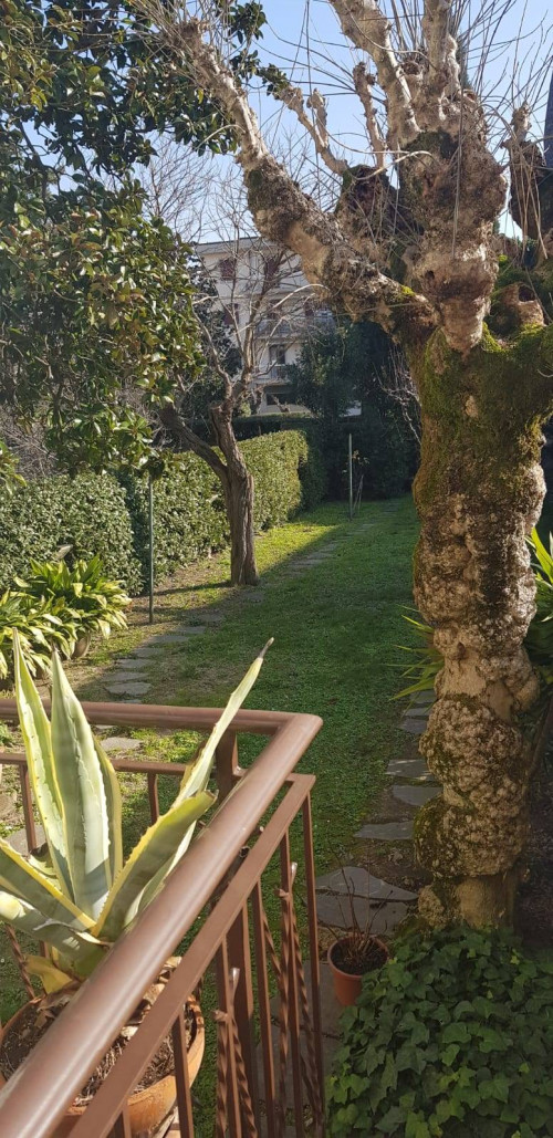 Casa indipendente in affitto a Empoli