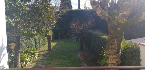 Casa indipendente in affitto a Empoli