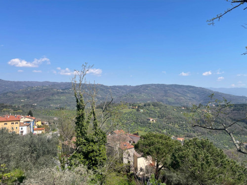 Appartamento in affitto a Montecatini-Terme