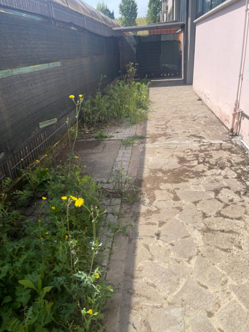 Magazzino in affitto a Cerreto Guidi