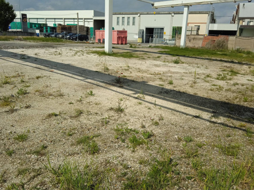 Terreno in affitto a Longiano