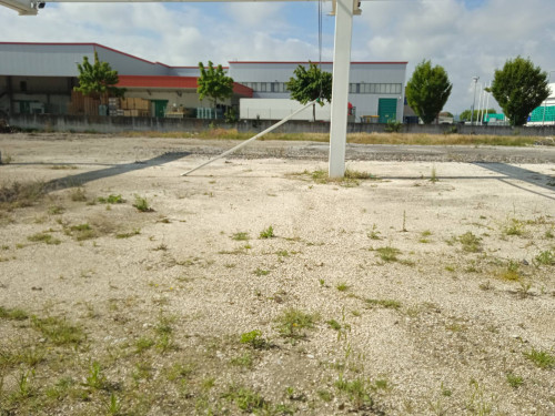 Terreno in affitto a Longiano