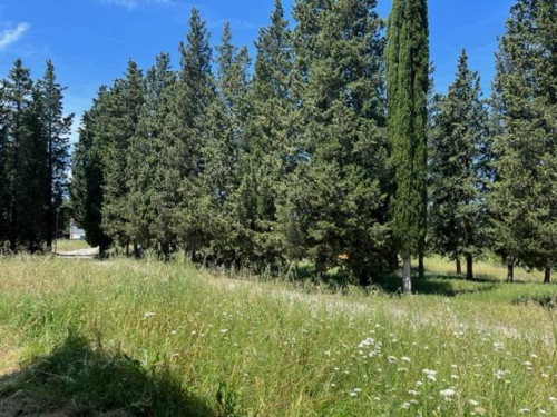 Fondo Commerciale in affitto a Montelupo Fiorentino