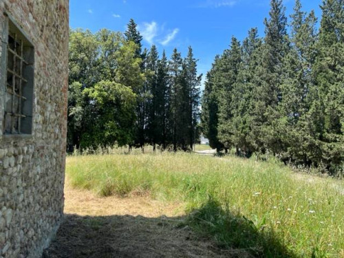 Fondo Commerciale in affitto a Montelupo Fiorentino