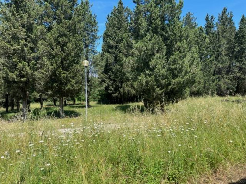 Fondo Commerciale in affitto a Montelupo Fiorentino