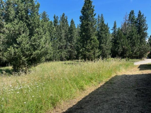 Fondo Commerciale in affitto a Montelupo Fiorentino