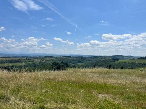 Fondo Commerciale in affitto a Montelupo Fiorentino