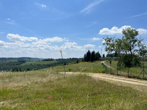 Fondo Commerciale in affitto a Montelupo Fiorentino