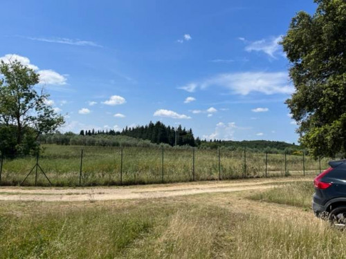 Fondo Commerciale in affitto a Montelupo Fiorentino