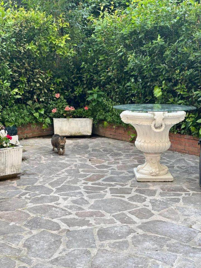 Appartamento in affitto a Castelfiorentino