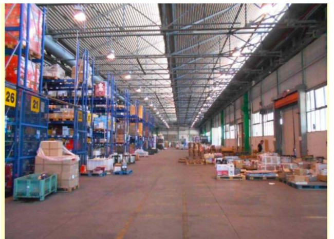 Capannone in affitto a Pisa