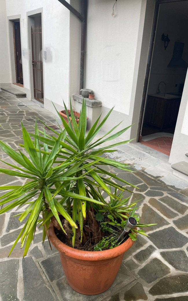 Appartamento in affitto a Cerreto Guidi