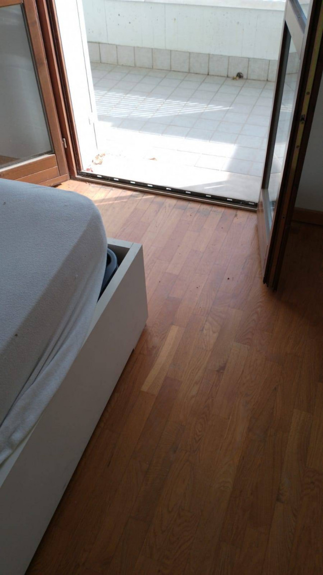 Appartamento in affitto a Forlì