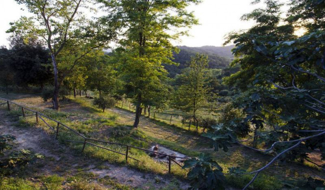 Appartamento in affitto a Pontedera