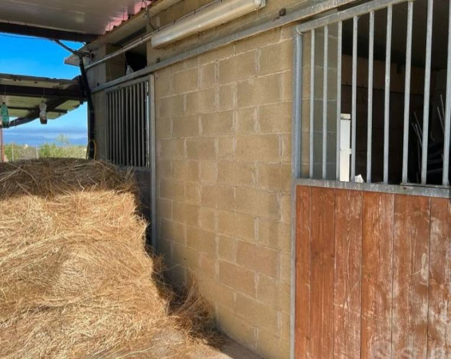 Terreno in vendita a Montopoli in Val d'Arno