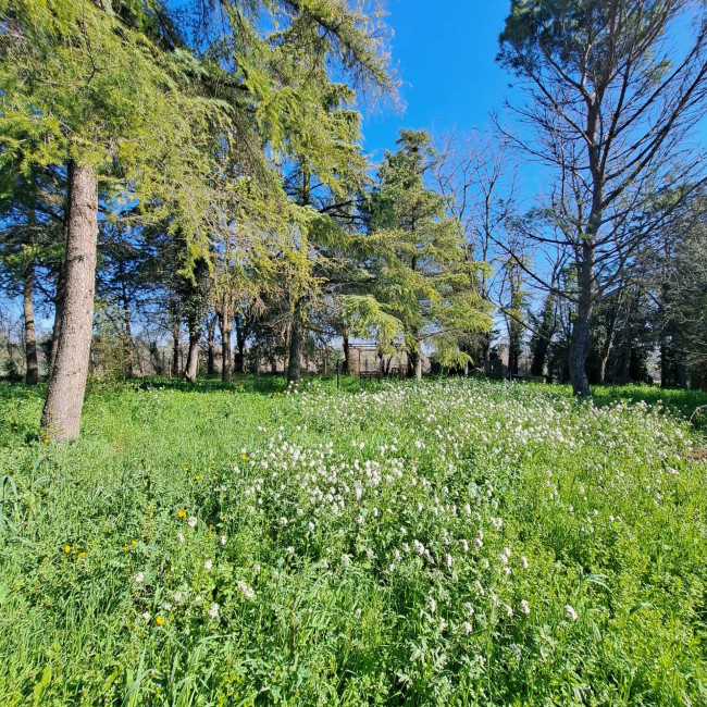 Casa indipendente in vendita a Forlì
