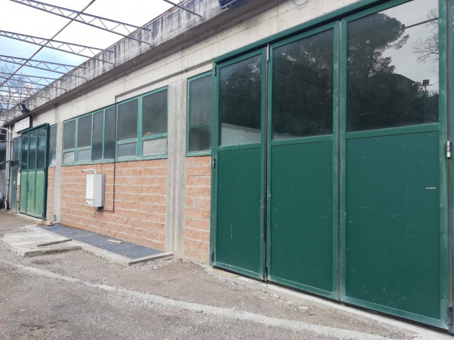 Fondo Artigianale in affitto a Certaldo