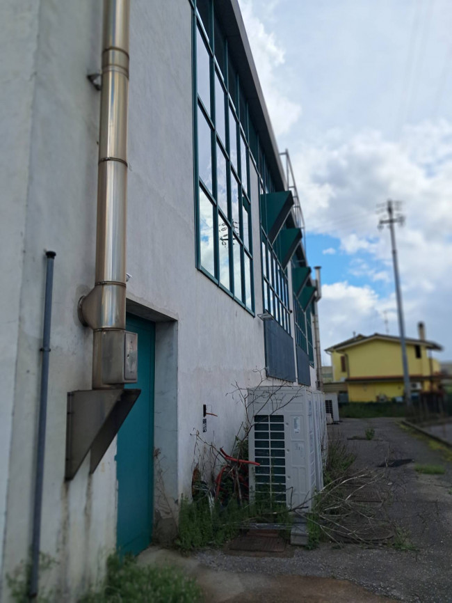 Fondo Commerciale in affitto a Massa e Cozzile