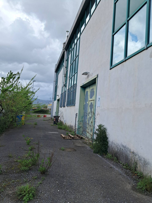 Fondo Commerciale in affitto a Massa e Cozzile