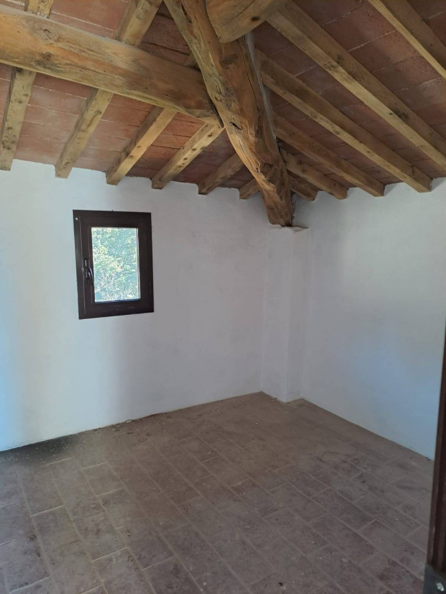 Appartamento in affitto a Montelupo Fiorentino