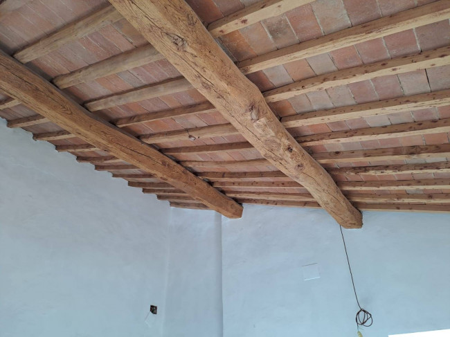 Appartamento in affitto a Montelupo Fiorentino