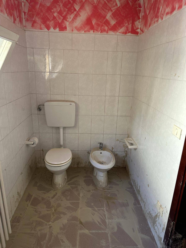 Negozio in affitto a Forlì