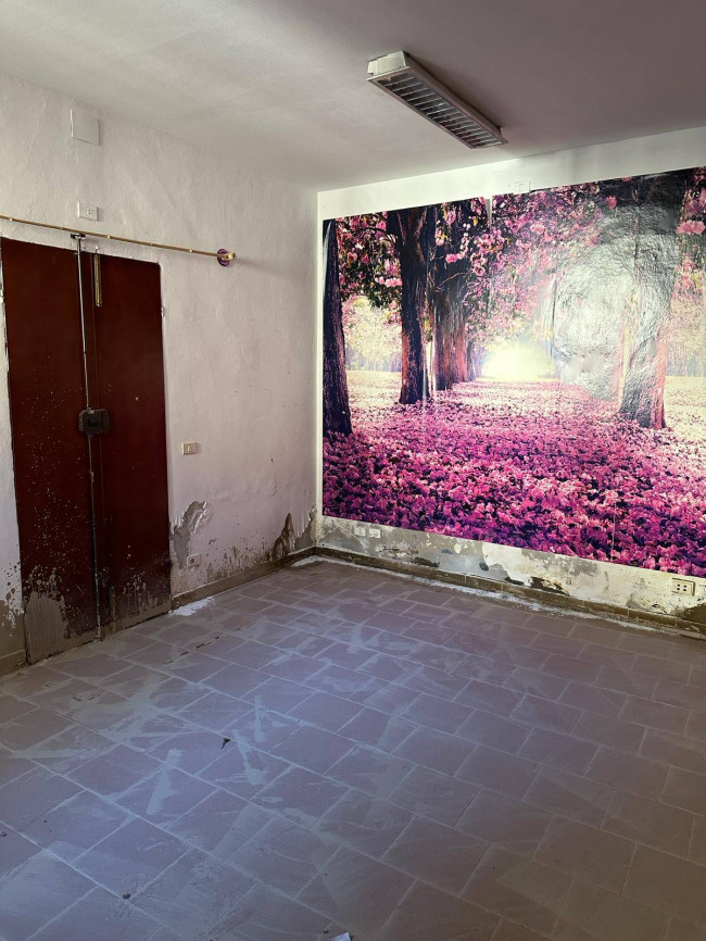 Negozio in affitto a Forlì