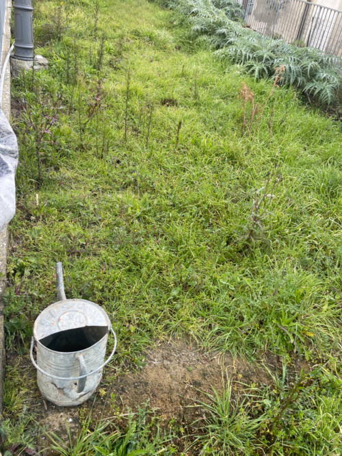 Appartamento in vendita a Cerreto Guidi