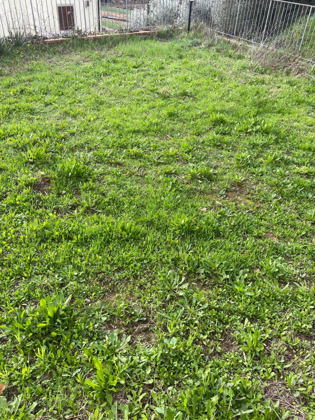 Casa indipendente in affitto a Lamporecchio