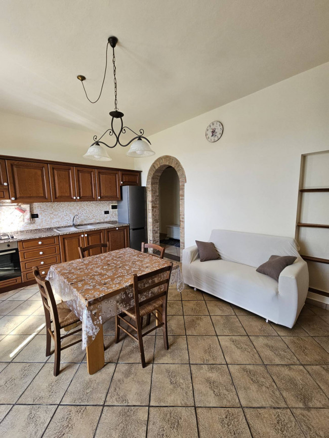 Appartamento in affitto a Palaia