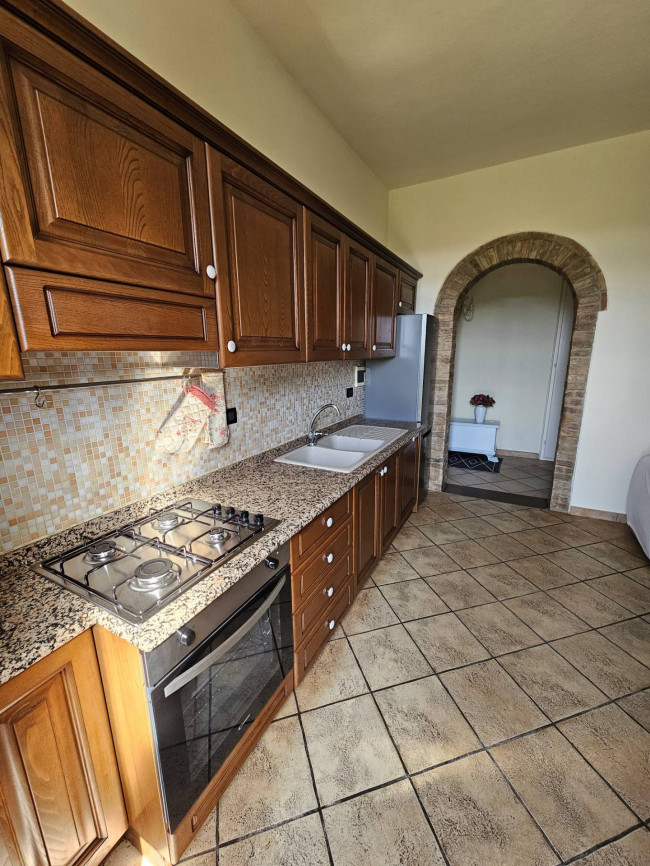 Appartamento in affitto a Palaia