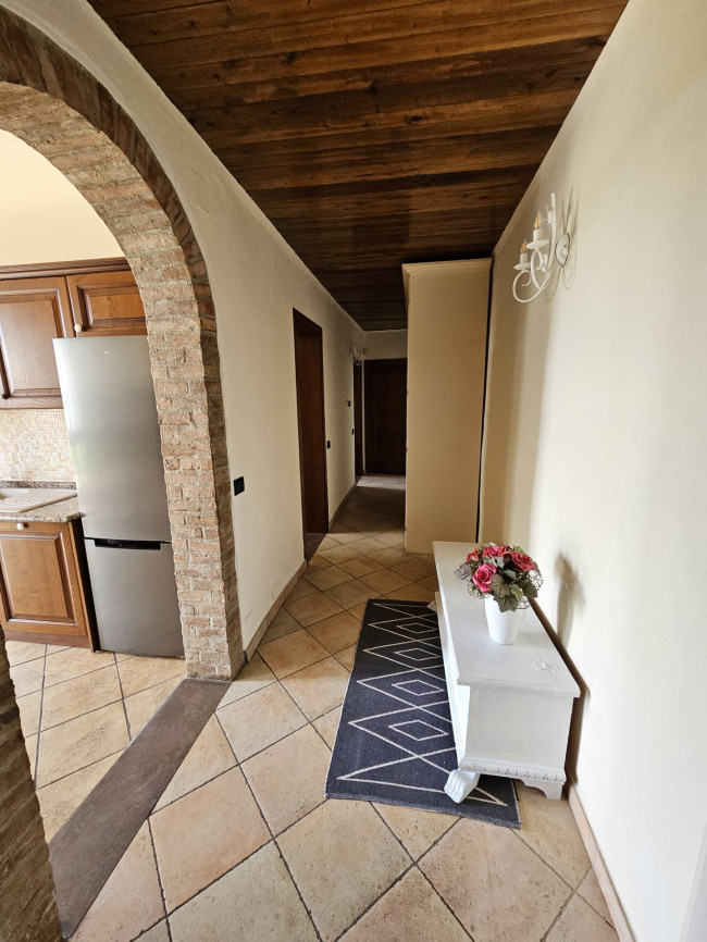 Appartamento in affitto a Palaia