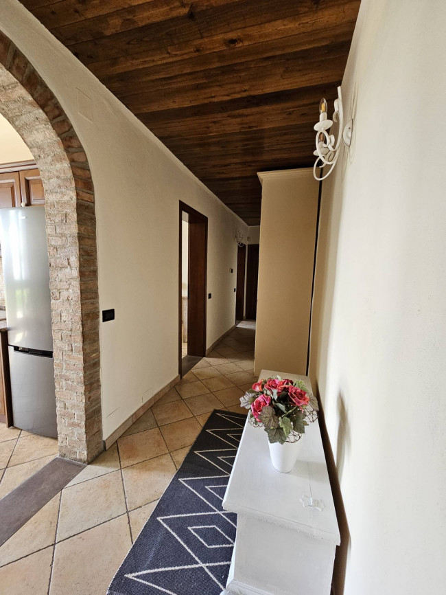 Appartamento in affitto a Palaia