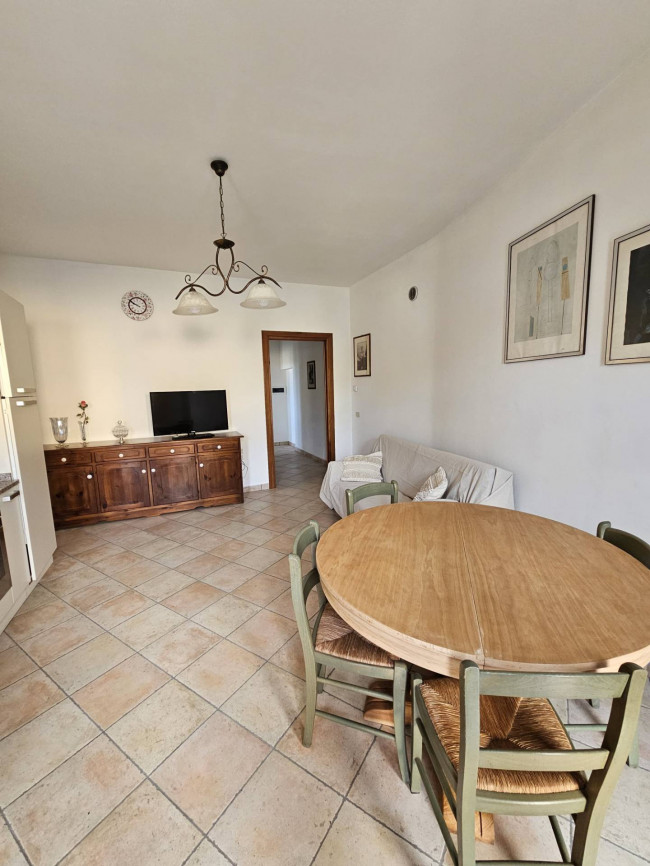 Appartamento in affitto a Palaia