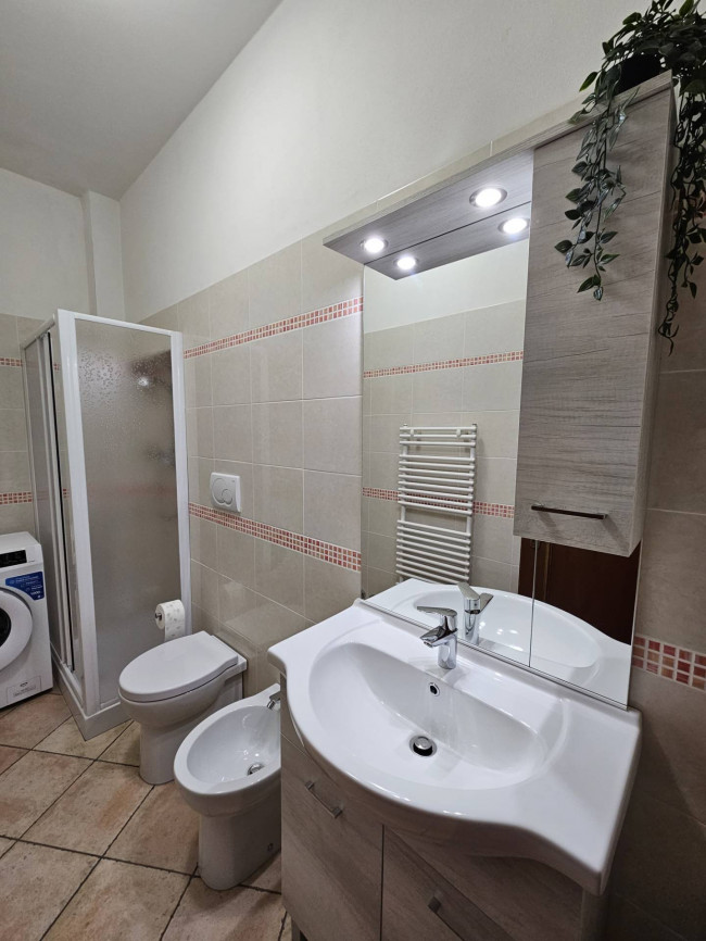 Appartamento in affitto a Palaia