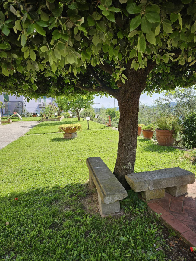 Appartamento in affitto a Palaia