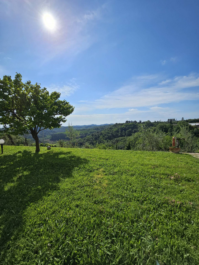 Appartamento in affitto a Palaia