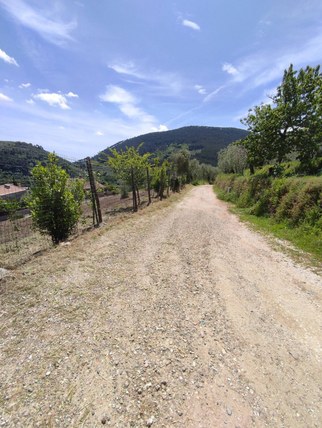 Terreno in vendita a Buti
