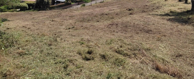 Terreno in vendita a Buti