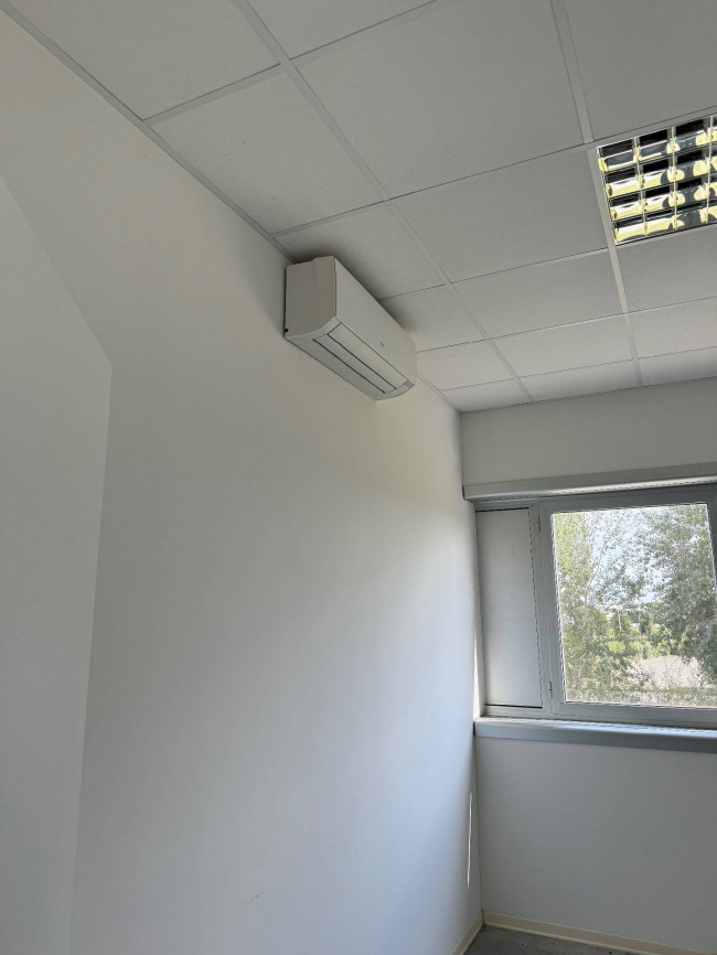 Capannone in affitto a Santa Croce sull'Arno